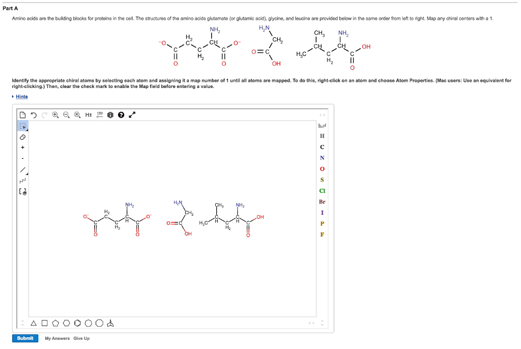 Solved Amino acids are the building blocks for proteins in