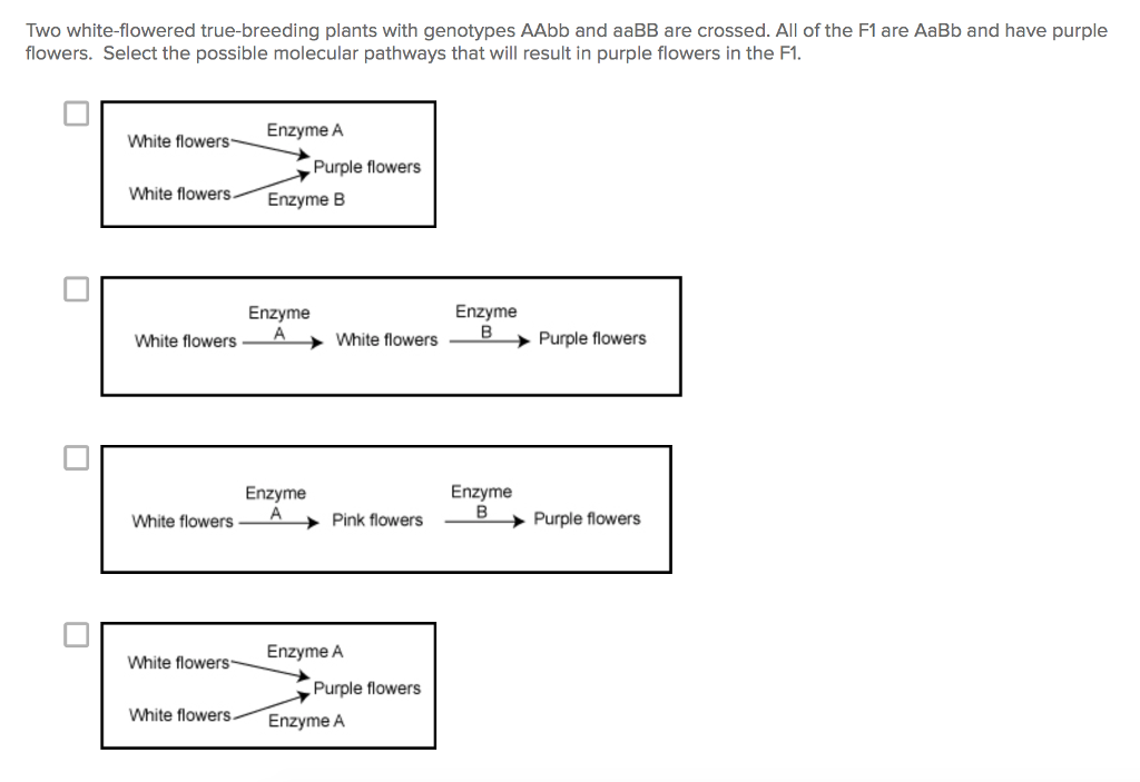 Solved Two Whiteflowered Truebreeding Plants With Genot