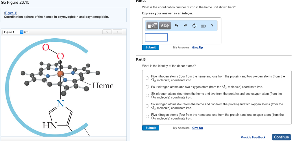 Solved Coordination sphere of the hemes in oxymyoglobin and | Chegg.com