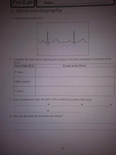 Solved Pre-Lab Name: 6. The Heart 1. The heart is located in | Chegg.com