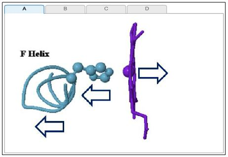Solved The image below shows the F helix (with a selection | Chegg.com