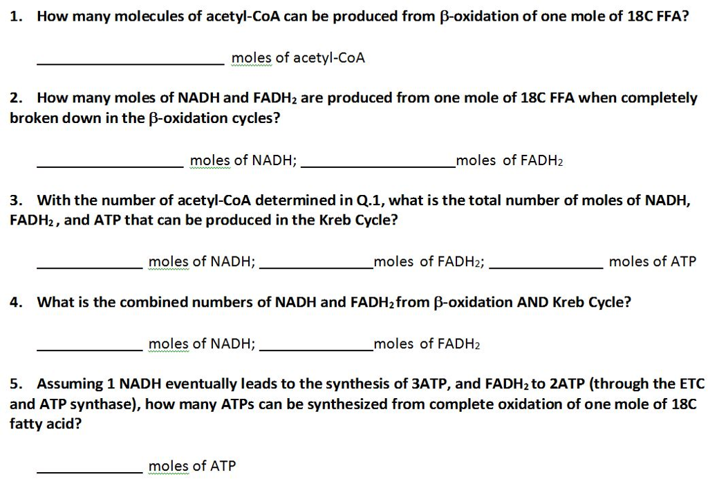 Solved 1. How many molecules of acetylCoA can be produced