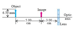 Solved The figure shows an object and its image formed by a | Chegg.com