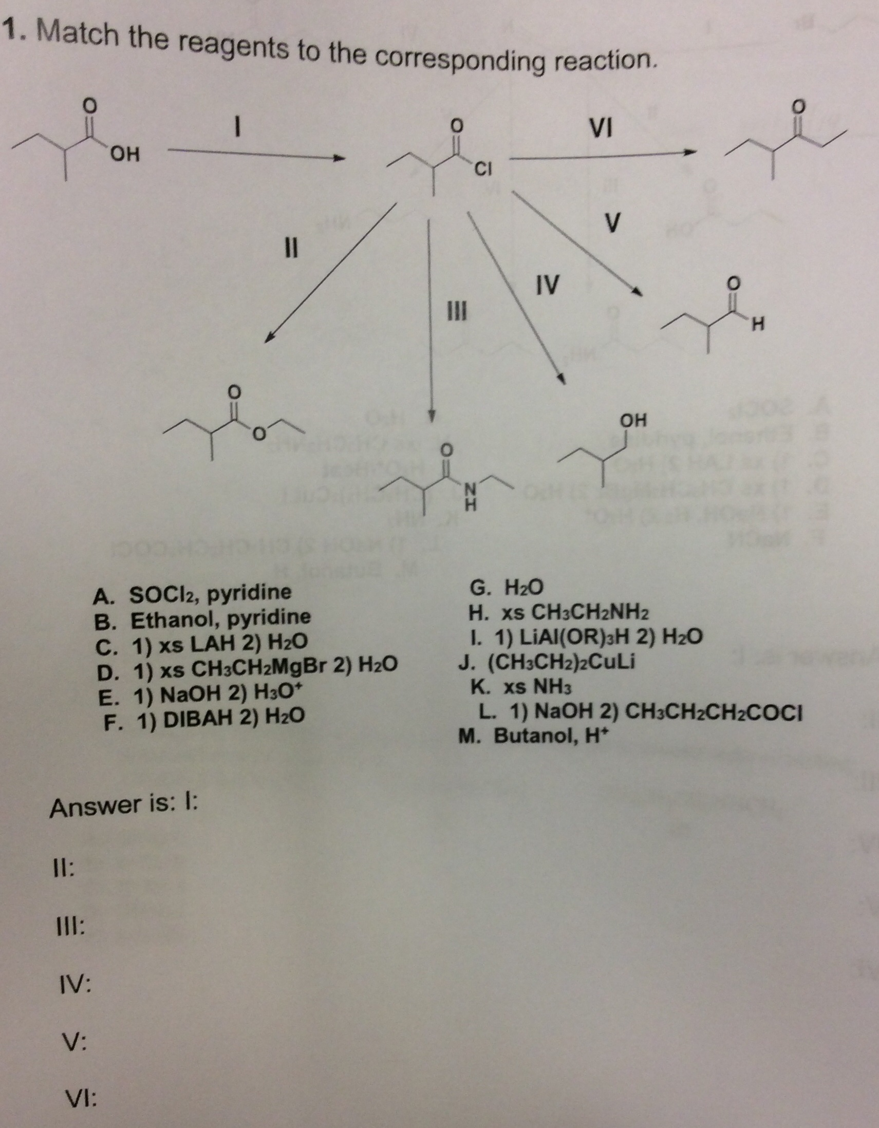 Solved Provide the structures of the intermediates and the | Chegg.com