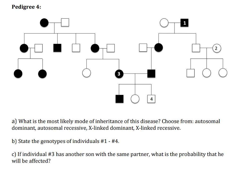 Solved In the following human pedigrees, the filled symbols | Chegg.com