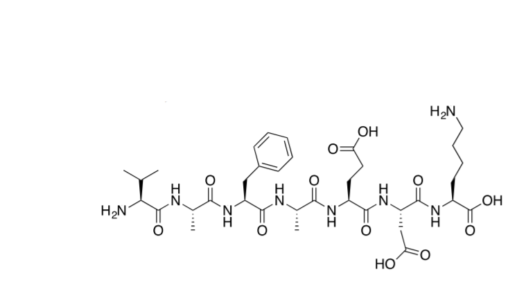 Solved Determine the composition of the peptide (list amino | Chegg.com