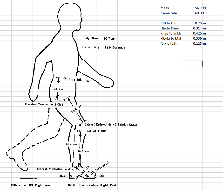 Solved Calculate the and kinematics of the leg,
