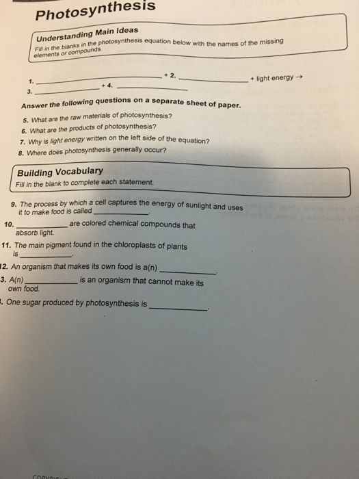Solved What are the raw materials of photosynthesis? What