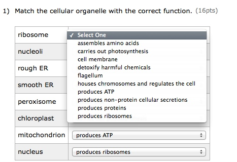 Solved 1) Match the cellular organelle with the correct | Chegg.com