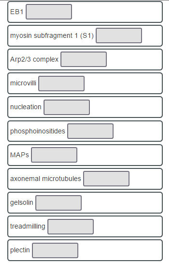 Solved Choose The Item On The Left That Best Matches Each Chegg Solved Choose The Item On The Left That Best Matches Each Chegg