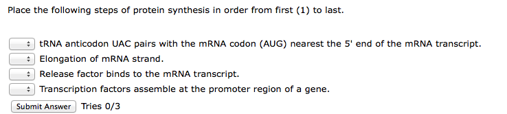 solved-place-the-following-steps-of-protein-synthesis-in-chegg