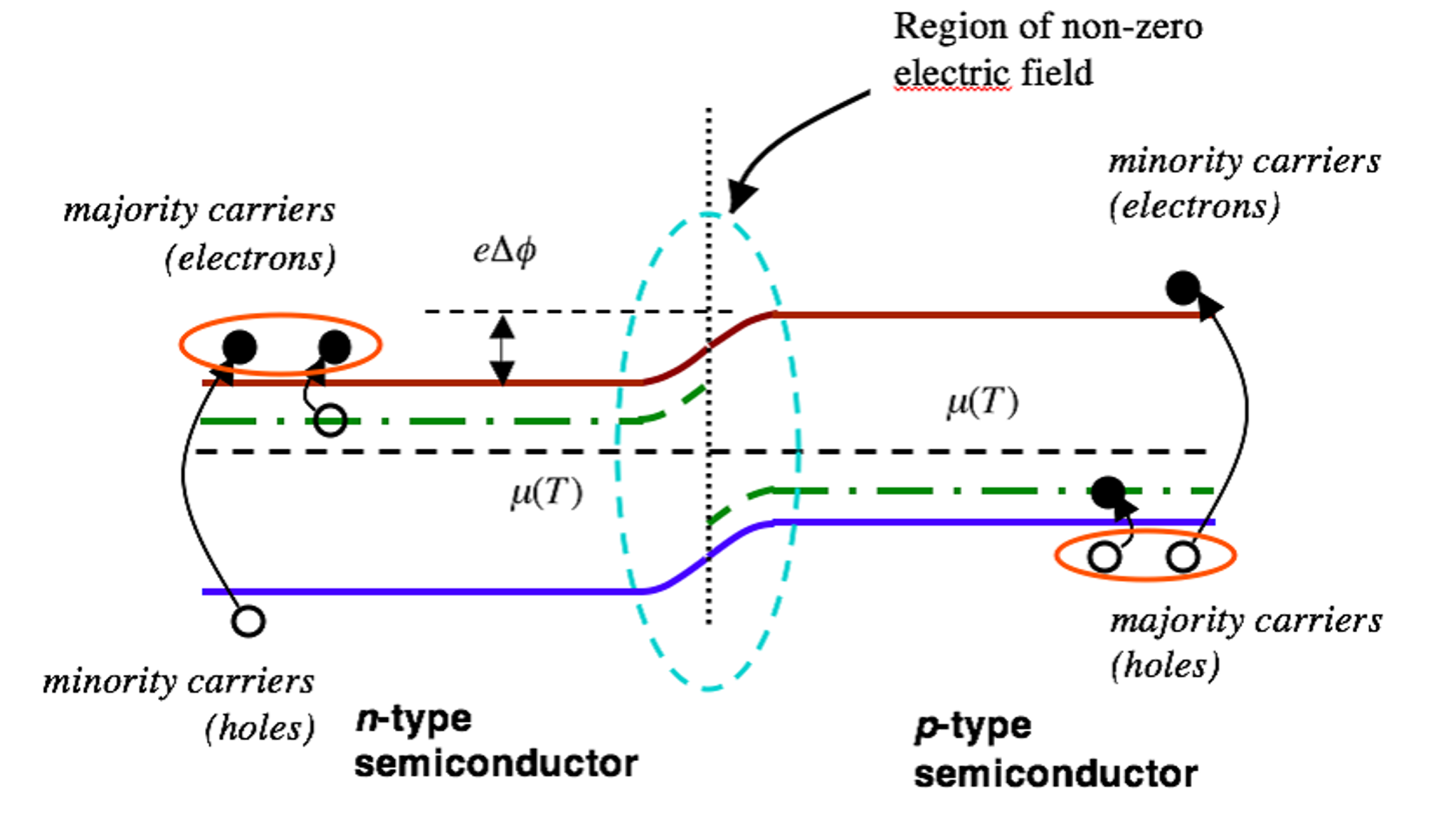 Size of p-n junction depletion layers A p-n | Chegg.com