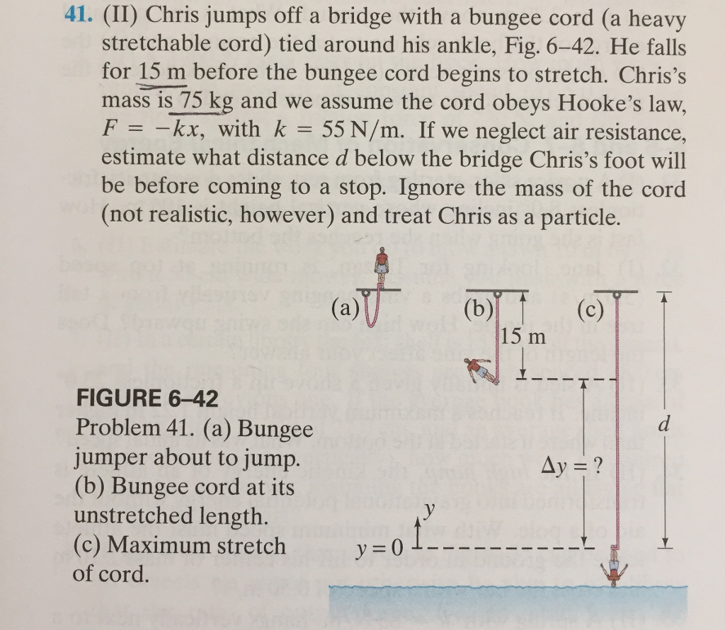 Solved Chris jumps off a bridge with a bungee cord (a heavy