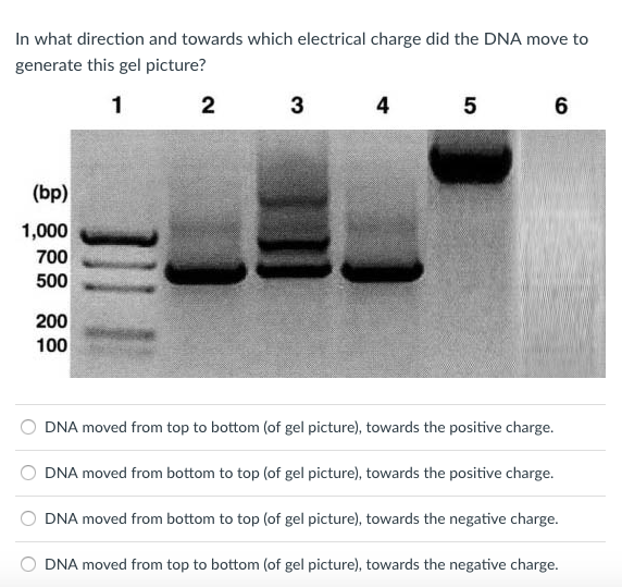 Solved In what direction and towards which electrical charge