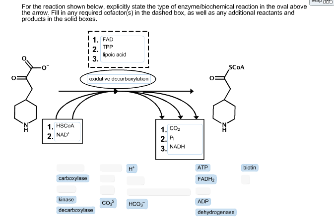 Solved For The Reaction Shown Below Explicitly State The