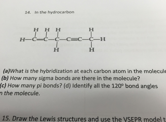 Solved What is the hybridization at each carbon atom in | Chegg.com
