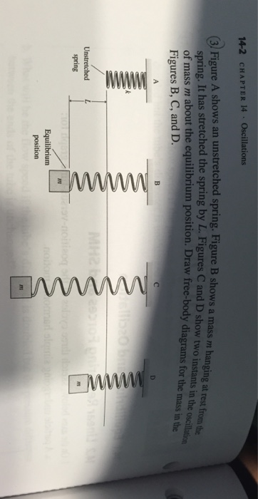 Solved Figure A shows an unstretched spring. Figure B shows | Chegg.com