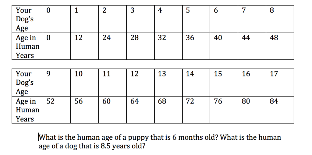 2 month puppy in human years
