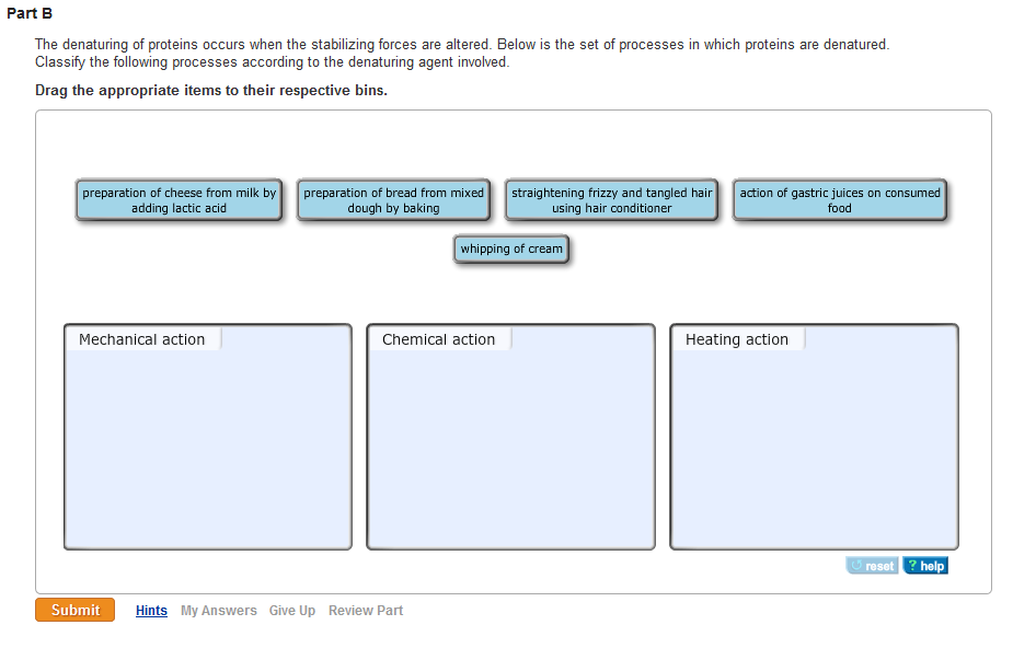 Solved The denaturing of proteins occurs when the