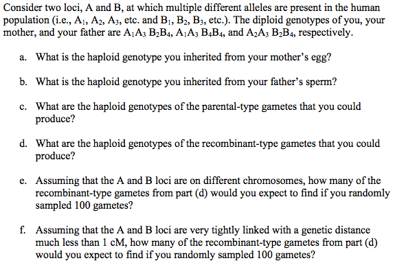 Solved Consider Two Loci A And B At Which Multiple 5678