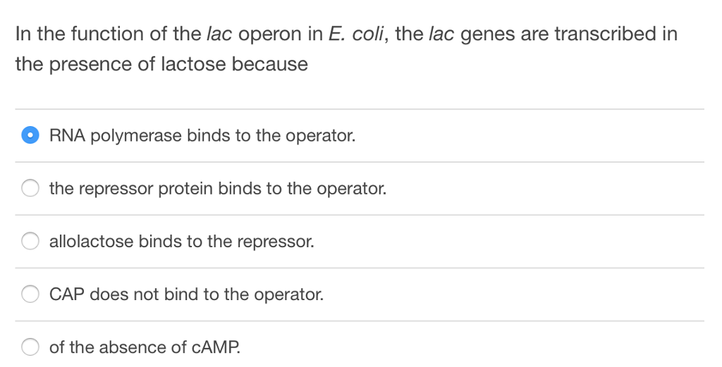 Solved In the function of the lac operon in E. coli, the lac
