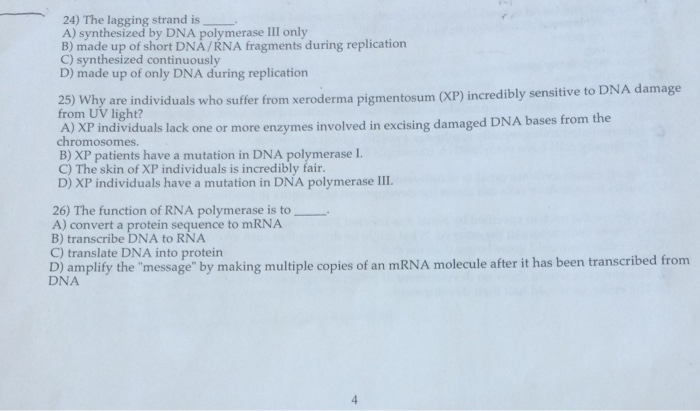 Solved The lagging strand is A) synthesized by DNA | Chegg.com