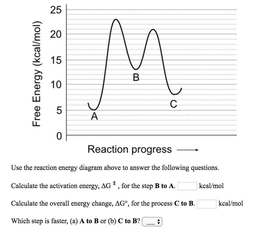 Solved Use The Reaction Energy Diagram Above To Answer The | Chegg.com