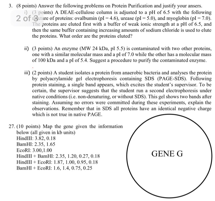 Solved Answer the following problems on Protein Purification