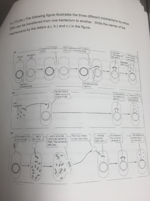 Solved The following figure illustrates the three different | Chegg.com