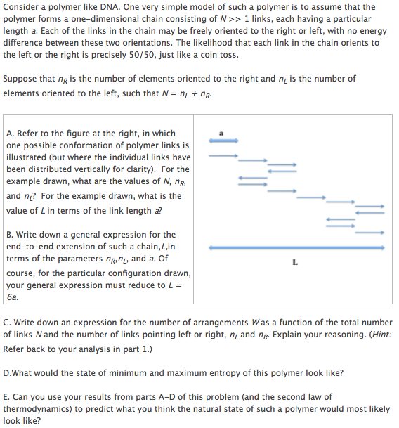 Solved Consider a polymer like DNA. One very simple model of | Chegg.com
