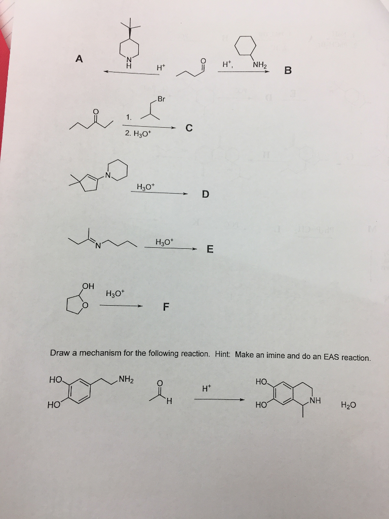 Solved Ht NH2 2. H30 OH H30+ Draw a mechanism for the | Chegg.com