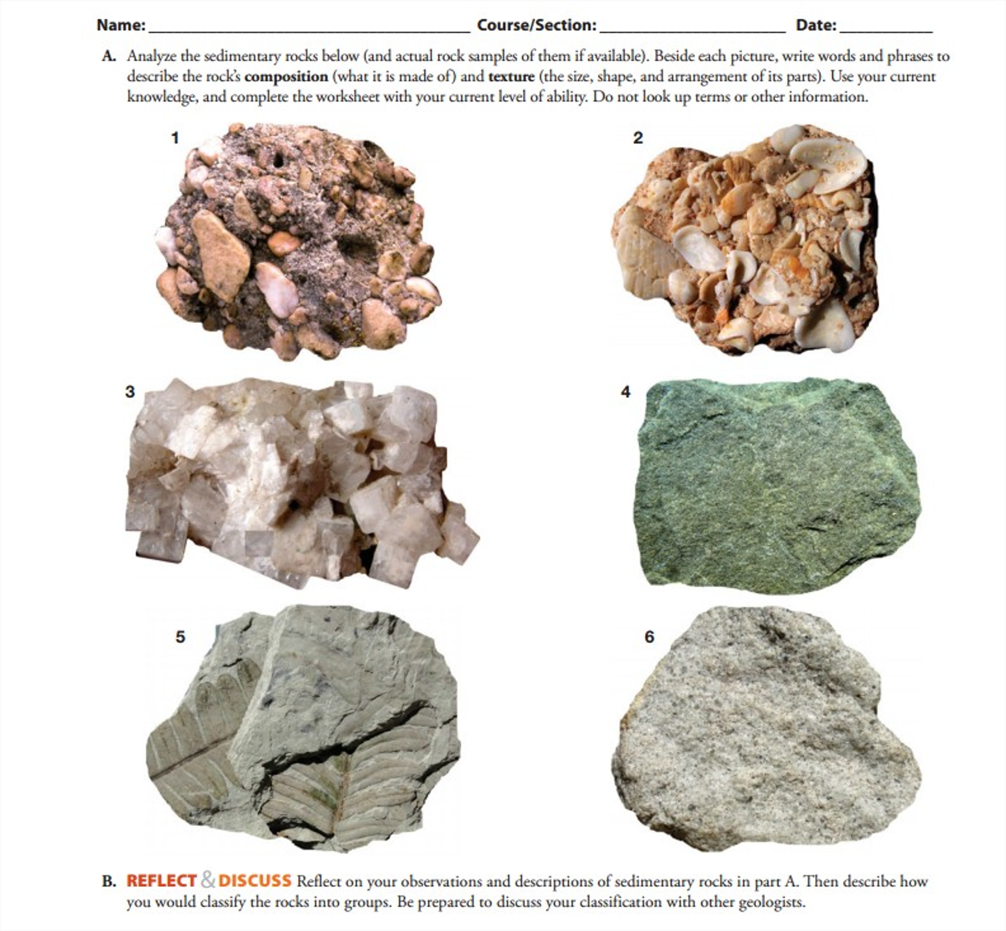 Organic Sedimentary Rocks Examples