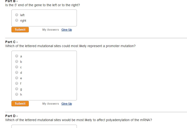 Solved Answer Part A, B, C, And D | Chegg.com