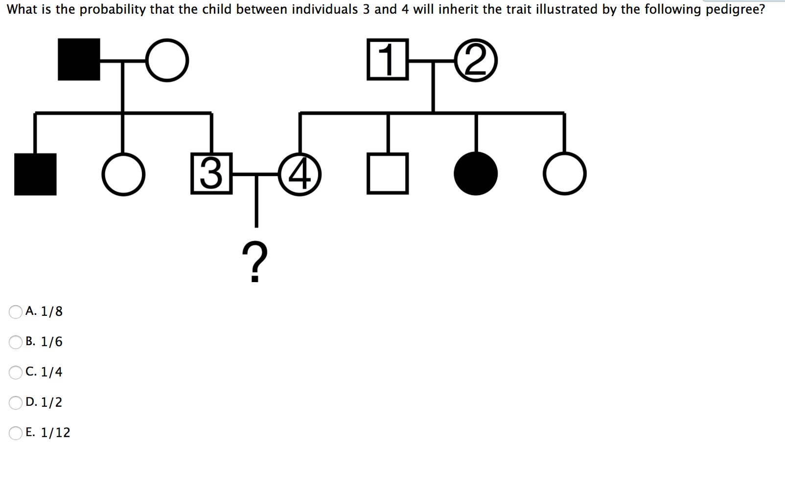 Solved What Are The Possible Genotypes Of Individual 1 Based Chegg