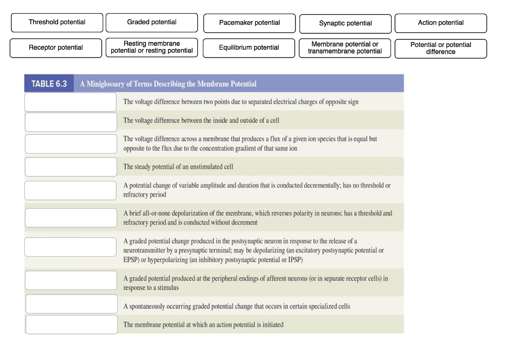 solved-threshold-potential-graded-potential-pacemaker-chegg