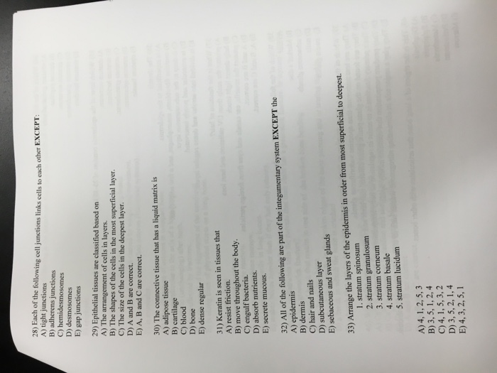 Solved Each of the following cell junction links cell to | Chegg.com