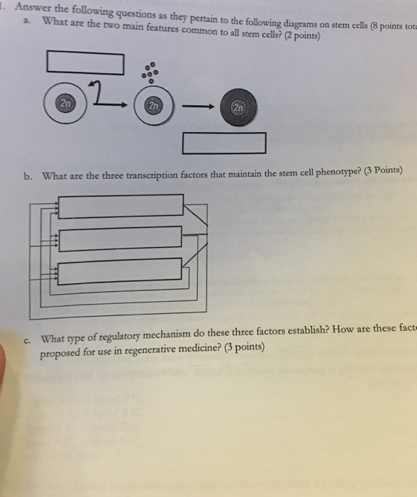 Solved Answer The Following Questions As They Pertain To The | Chegg.com