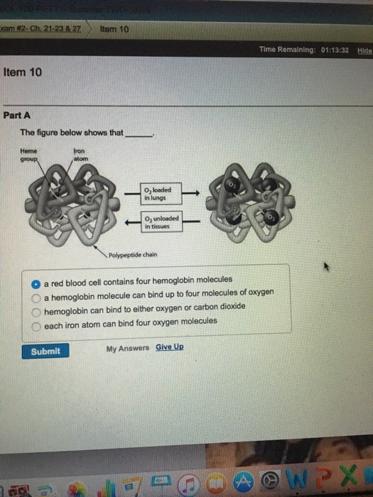 Solved The figure below shows that a red blood cell | Chegg.com