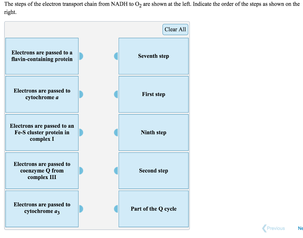 Solved The steps of the electron transport chain from NADH | Chegg.com