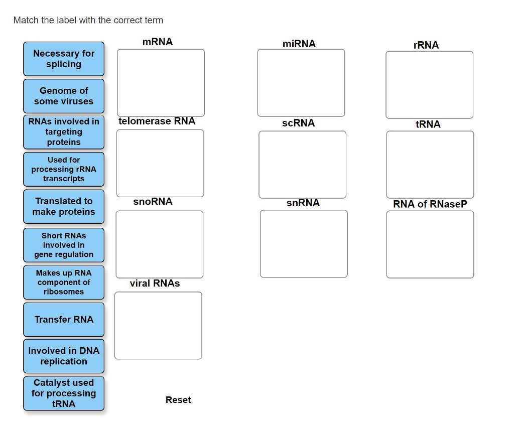 solved-match-the-label-with-the-correct-term-chegg