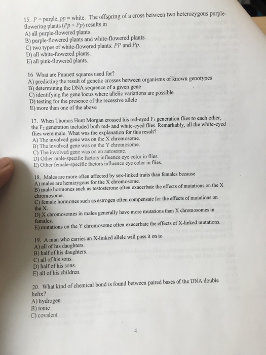 Solved l purple, pp = white. The offspring of a cross