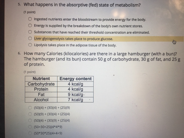 Solved 5. What happens in the absorptive (fed) state of | Chegg.com