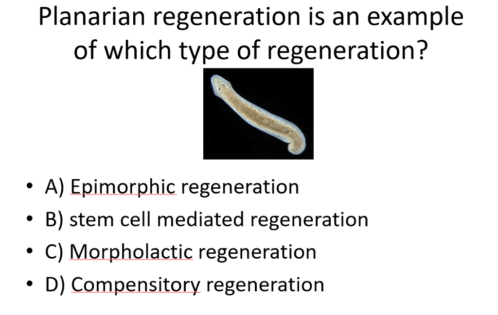 Solved Planarian regeneration is an example of which type of