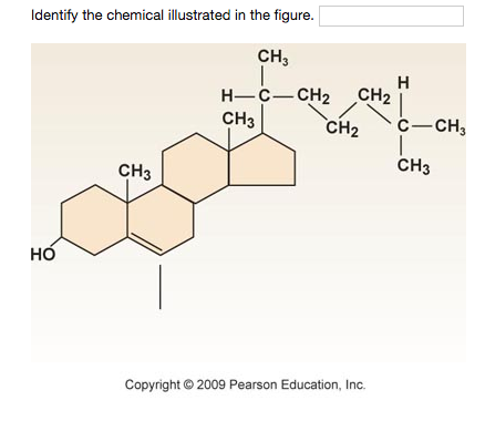 Solved Identify the chemical illustrated in the figure. | Chegg.com