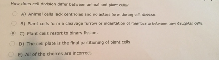 solved-how-does-cell-division-differ-between-animal-and-chegg