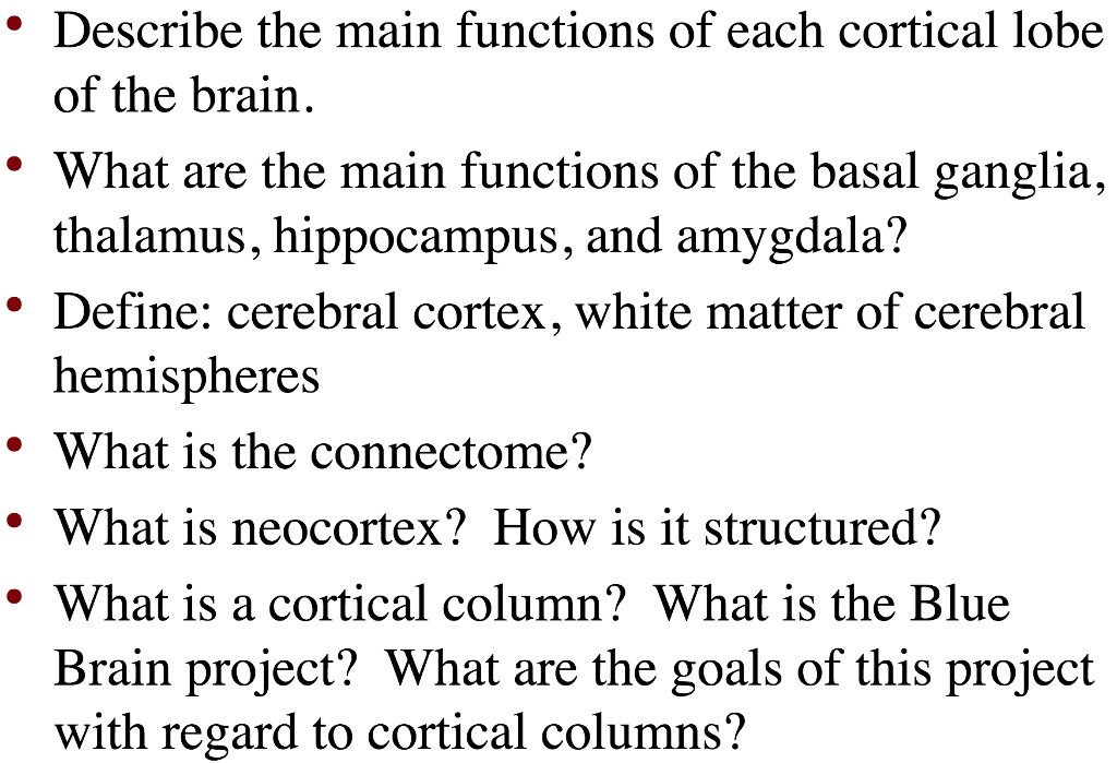 Solved *Describe the main functions of each cortical lobe of Biology Diagrams