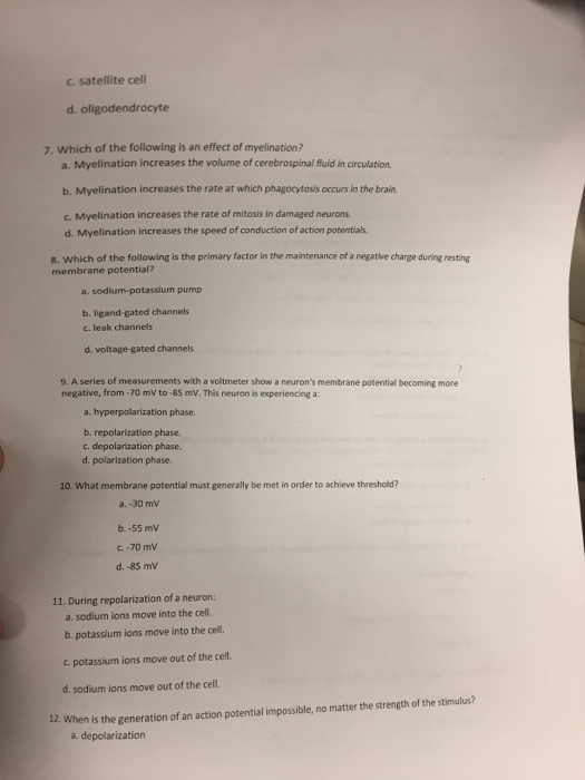 Bio 181 Final ExamFall 201 Nael Taci Bio 1.What&hellip;
