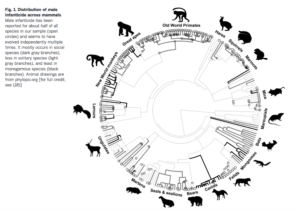 Solved Evolution Phylogeny question. 1.With reference to | Chegg.com