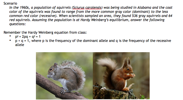 Solved Scenario In the 1960s, a population of squirrels (Sci | Chegg.com