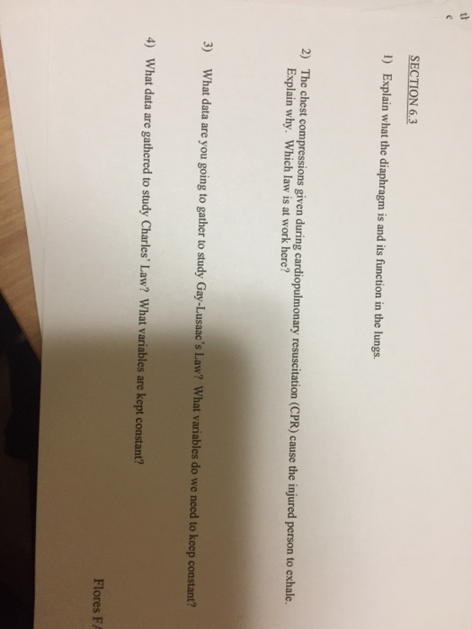 Solved Explain What The Diaphragm Is And Its Function In The 